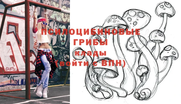 стафф Гусь-Хрустальный