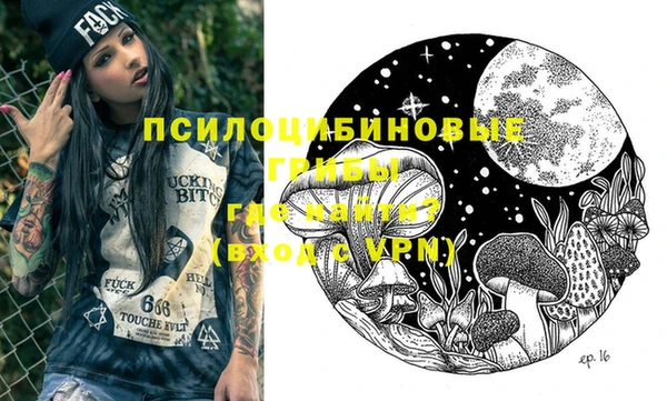 стафф Гусь-Хрустальный