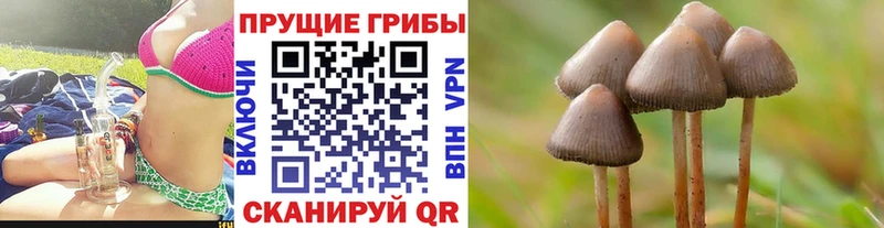Псилоцибиновые грибы мухоморы  Таганрог 